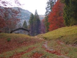 2013-10-26_Schildenstein (047).JPG